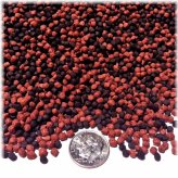 Blackheart Pellets for Healthy Fish Nutrition