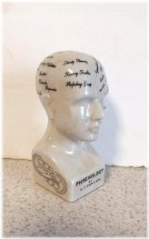 Porcelain Phrenology Bust - 6 Inch Medical Collectible