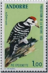 Woodpecker Haven Stamp