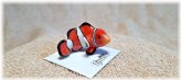 Anemone Clown Fish Miniature Figurine