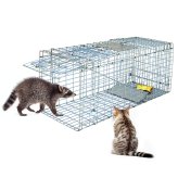 Critter Catcher Steel Cage