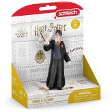 Enchanted Wizarding Duo Figure