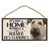 Purrfect Paws Essentials