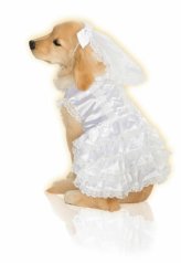 Puppy Wedding Attire