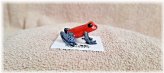 Strawberry Poison Dart Frog Miniature Figurine