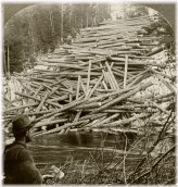 Maine Logging Memories Stereoview Set