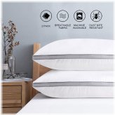 Cotton Comfort Pillow Set