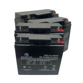 PowerGuard Replacement Battery Kit