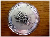Canadian Silver Giant Maple Leaf