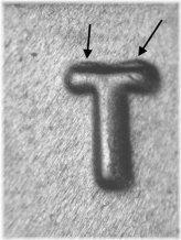 Doubled Die Jefferson Nickel - 2023 P WDDR-082 Gem BU Uncirculated