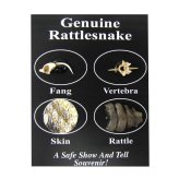Rattlesnake Educational Science Pack