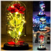 Celestial Blossom Glass Dome LED Light