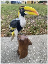 Carved Toucan Driftwood Sculpture