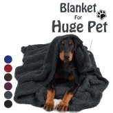 Cozy Paws Blanket