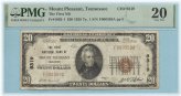 Mount Pleasant Series 1929-T1 $20 National Currency