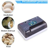 FeatherNest 7 Automatic Egg Incubator