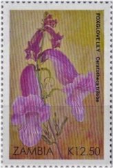 Zambian Floral Elegance Stamp Collection