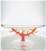 Coral Bliss Cake Stand