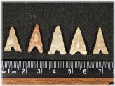 Antique Tidikelt Arrowheads Collection