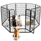 Canine Corral