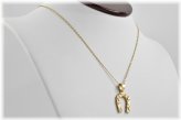 Golden Luck Horseshoe Necklace