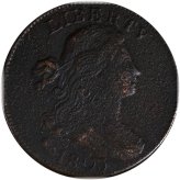 Copper Heritage Large Cents