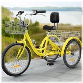 Sunshine Trike