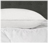 White Feather Queen Pillow by Hollander Sleep & Decor