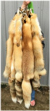 Winter Fox Fur XL Mount