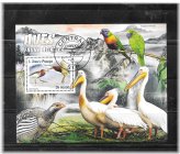 Avian Treasures of St. Thomas Collection