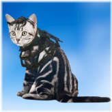 Spooky Pet Costume Set