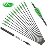 Precision Carbon Arrows Set