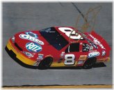 Dale Earnhardt Jr. 2003 Autographed NASCAR Photo with COA