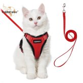 Feline Freedom Harness & Leash