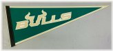 Bulls Pride Vintage Pennant