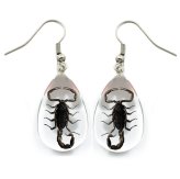 Scorpion Specimen Earrings