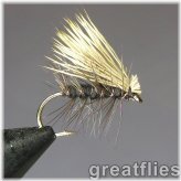 Midnight Caddis Creek