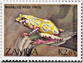 Zambian Frog Series Stamp