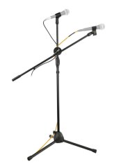 Dual-Mic Performance Stand with Detachable Boom and Clips