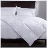 Cotton Loft Comforter by Calvin Klein - Queen Size