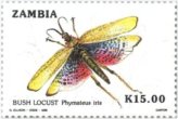Zambia Grasshopper Phymateus Iris Stamp