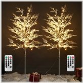 Cypress Glow Tree Duo