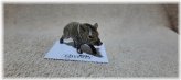 Rustic Miniature Animal Figurine - Javelina "Jabali