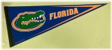 Gator Pride Pennant