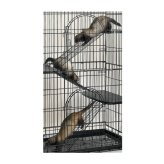 Feline Transporter Kit