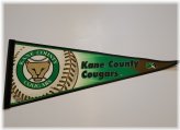 Cougars Minor League Baseball Pennant Flag - Vintage Collection