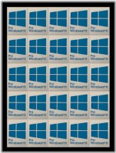 Blue Badge Decals for Window 11 Pro Tablets and eBook Readers