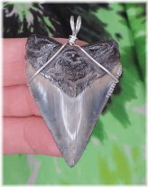 Ancient Megalodon Tooth Pendant