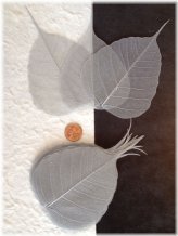 Silver Banyan Leaf Bouquet