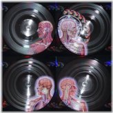 Lateralus: The Ultimate Vinyl Experience